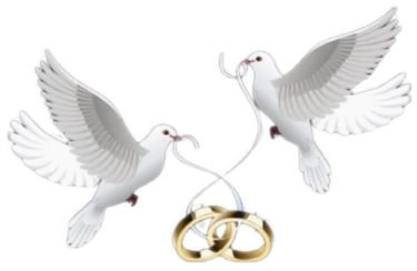 Decorative rings